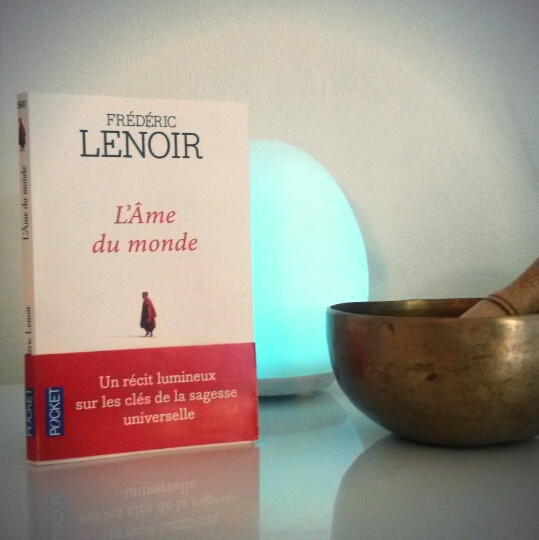 L'Âme du monde de Frédéric Lenoir : sur le chemin de la sagesse universelle