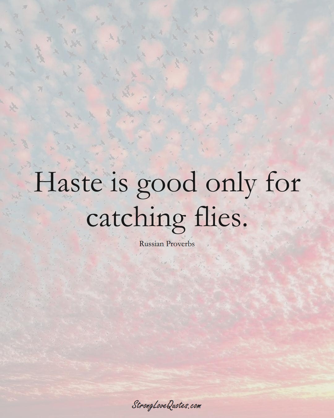 Haste is good only for catching flies. (Russian Sayings);  #AsianSayings