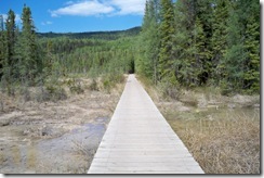 Liard River Hotsprings Provincial Park (4)
