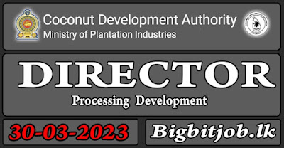 Coconut Development Authority Vacancy - Director