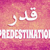 Belief in Qadar (Predestination) is One of the Basic Principles of Faith