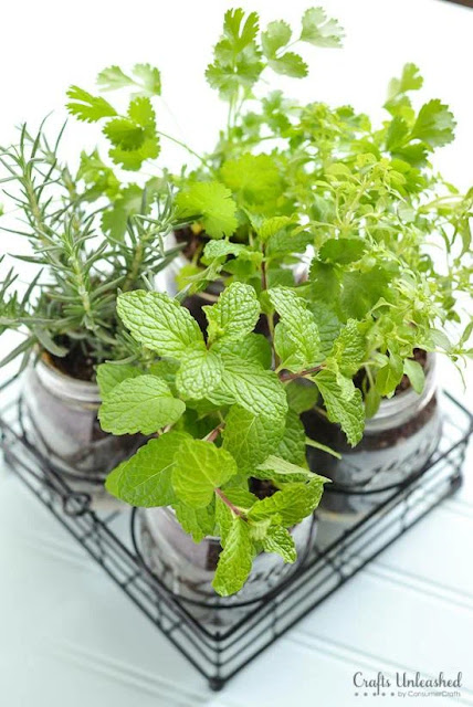 indoor herb garden ideas