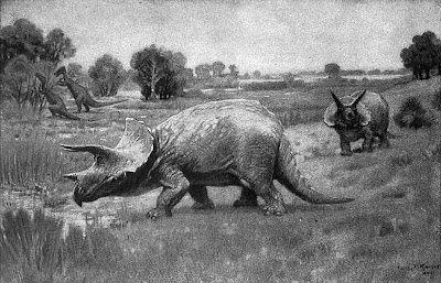 Triceratops