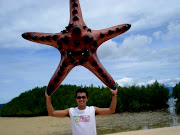 A shot at Starfish Island (palawan )