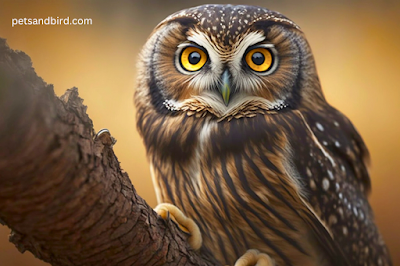 Under the moon's soft glow, the owl's watchful eyes pierce the darkness