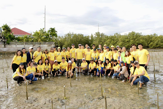 Cebu Pacific, Ramon Aboitiz Foundation Rehabilitate Mangroves in Cebu