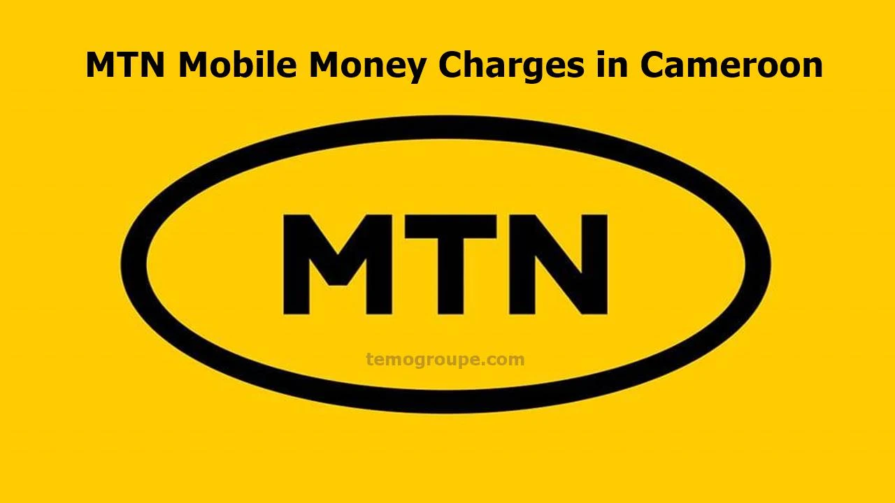 MTN Mobile Money Charges in Cameroon