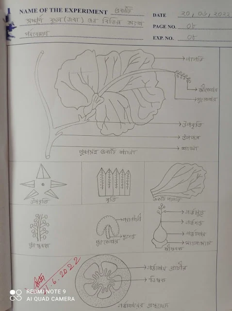 Biology practical ssc 2023, ssc 2023 Biology practical, ssc Biology practical 2023, Biology practical ssc 2023 answer, ssc Biology practical, ssc practical 2023 Biology, Biology practical ssc 2023, ssc 2023 Biology practical solution pdf, ssc 2023 Biology practical pdf, ssc Biology practical 2023, জীববিজ্ঞান ব্যবহারিক ssc 2023