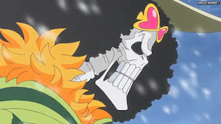 ワンピースアニメ パンクハザード編 598話 ブルック | ONE PIECE Episode 598