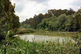 Río Guadalete