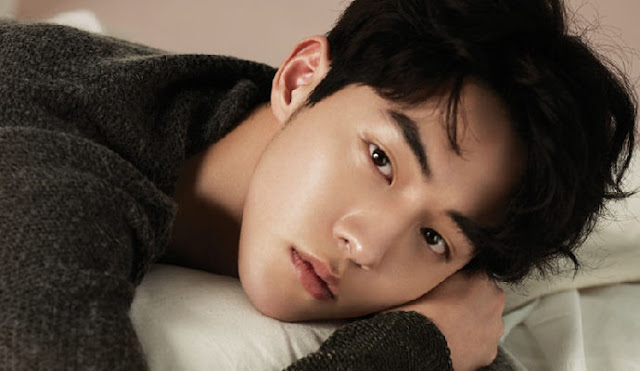 Biodata, Profil, dan Fakta Nam Joo Hyuk