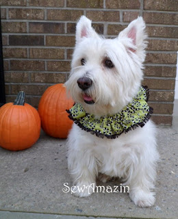 Howl-a-ween Scrunchie Neck Ruffle