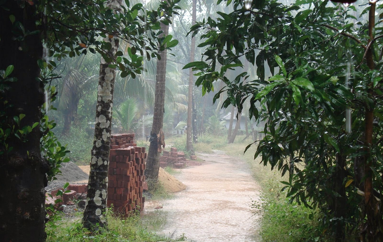  Climate  in kerala  Kerala  Information Portal