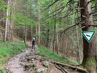 Der Aufstieg zur Brunnsteinhütte beginnt ganz zahm