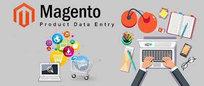 Magento Product Data Entry