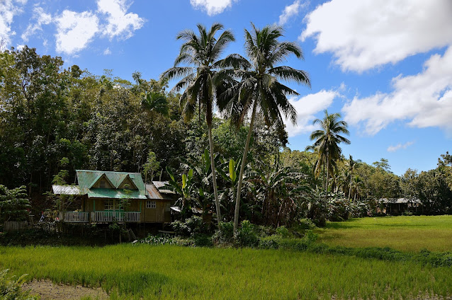 O que visitar em Bohol, Roteiro Bohol, O que fazer em Bohol, Roteiro Filipinas, O que visitar nas Filipinas