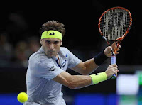 David Ferrer atp tenis