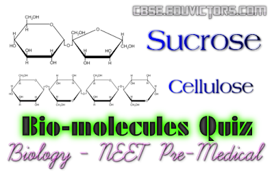 NEET Pre-Medical Biology Quiz: Biomolecules (#NEETQuiz)(#eduvictors)