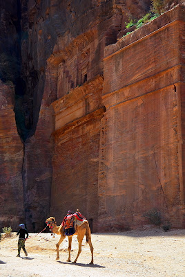 camel rides for rent petra jordan