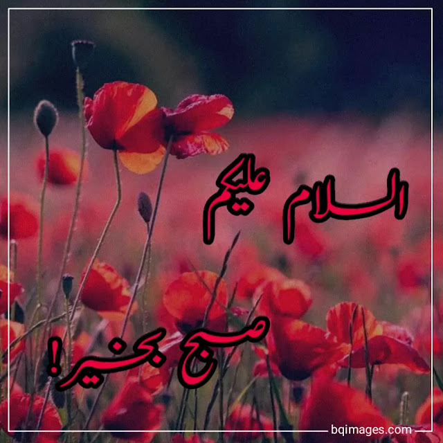 subha bakhair images in urdu download