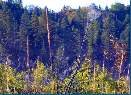 2012-09-16 026