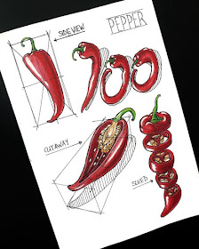 02-Chilli-peppers-Design-Tutorial-Drawings-Oz-www-designstack-co