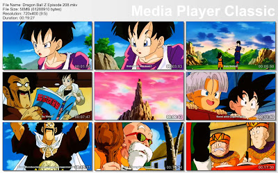 Download Film / Anime Dragon Ball Z Majin Buu Saga Episode 208 Bahasa Indonesia