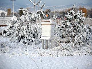 food bee. honey. beeswax