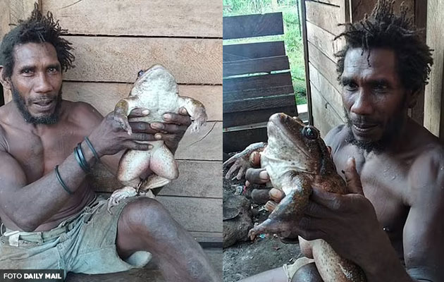 'Katak ini lebih sedap dari ayam' - Penduduk Kepulauan Solomon temui katak yang saiznya hampir sama seperti seorang bayi manusia