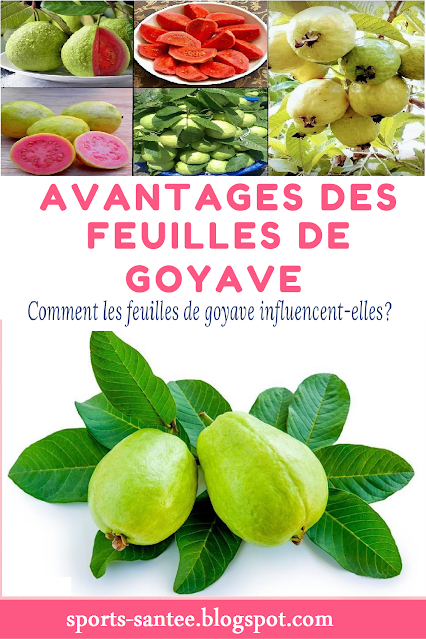 QUELQUES-BIENFAITS-DE-LA-GOYAVE