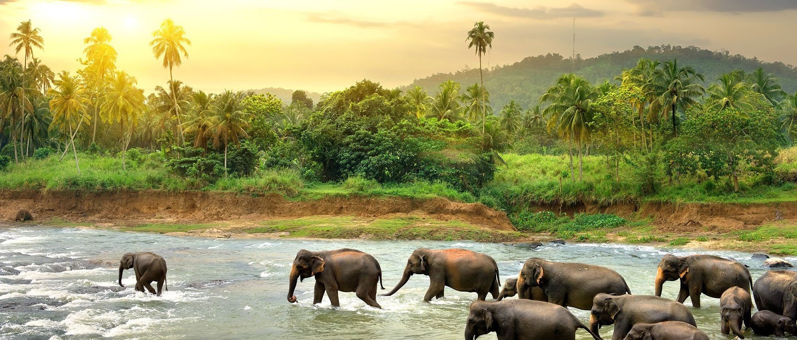 BEAUTIFULL SRI LANKA
