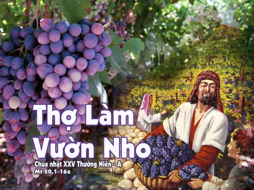 Giáo lý Phúc Âm CN 25 TN.A CHÚA NHẬT XXV QUANH NĂM A