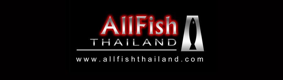 Allfish Thailand