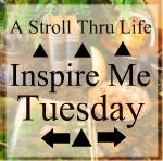 http://www.astrollthrulife.net/2016/10/349th-inspire-me-tuesday.html