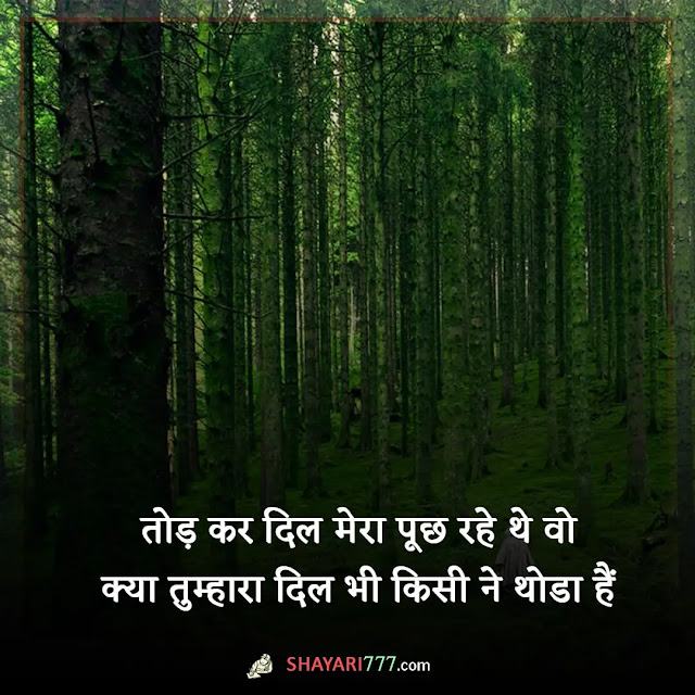 jabardast shayari in hindi, jabardast shayari 2 line, दो लाइन की जबरदस्त शायरी, जबरदस्त शायरी स्टेटस, जोशीली शायरी, जबरदस्त शायरी फोटो, जबरदस्त शायरी लव स्टोरी, खतरनाक शायरी जबरदस्त, जबरदस्त शायरी एटीट्यूड वाली, जबरदस्त बेवफाई शायरी