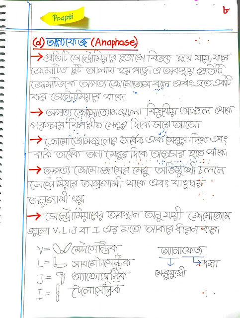 SSC Biology Chapter 3 Hand Note