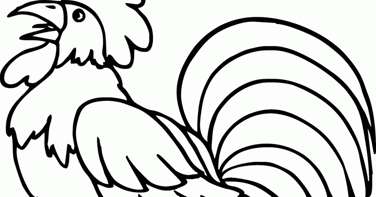 28 images of Gambar Sketsa Ayam Jantan