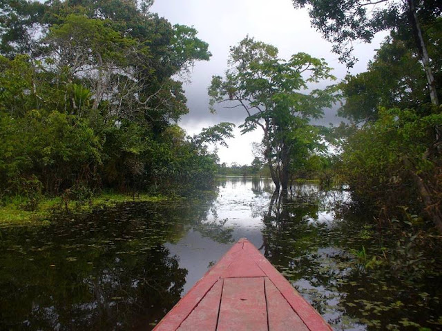 Amazon River