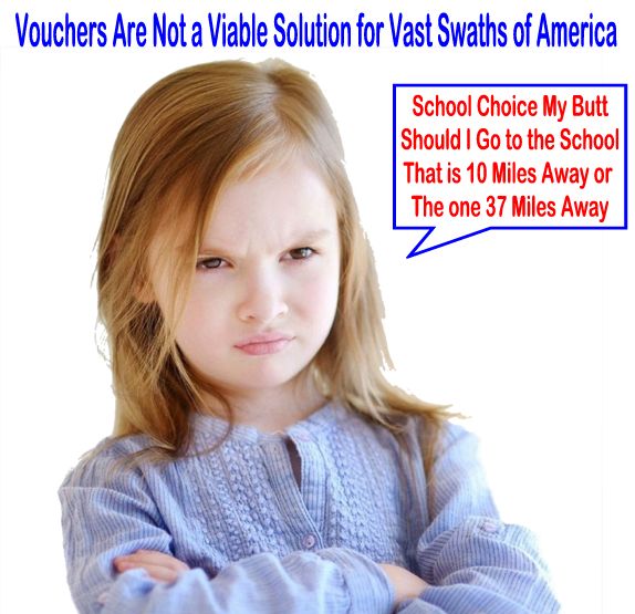 Image result for big education ape vouchers