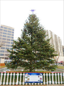 El Árbol de Navidad del Boston Common