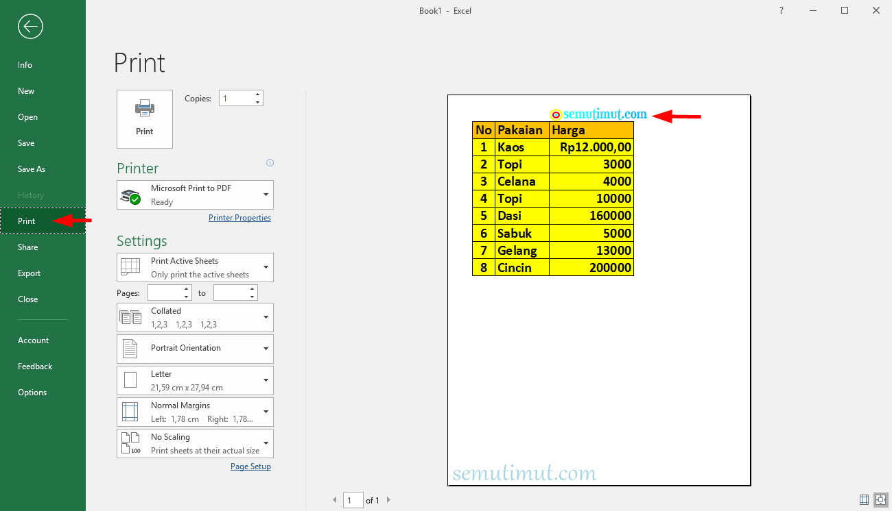 Cara Membuat Watermark di Excel Transparan Tulisan & Logo ...