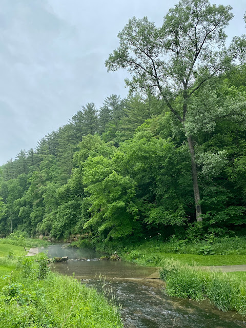 Yellow River State Forest, Little Paint Campground