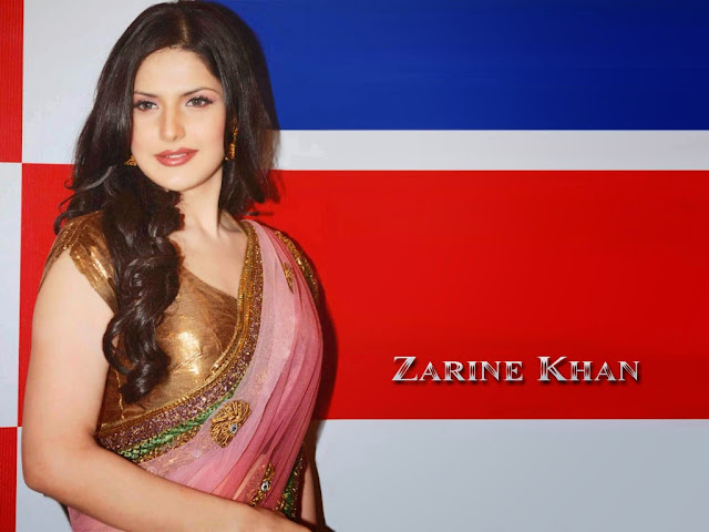 Zareen Khan Hd Wallpapers Free Download