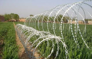 Razor Wire di Kebon