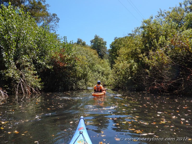 Kayak río Palmones