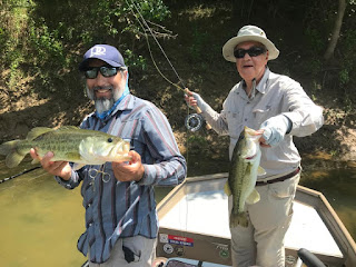 Marcos Rodriguez, Brazos River, Fish Spotlight, Largemouth Bass, Northern Strain Largemouth Bass, Florida Strain Largemouth Bass, Largemouth Bass in Texas, Bass on the Fly, Fly Fishing for Bass, Texas Bass Fishing, Texas Fly Fishing, Fly Fishing Texas, Texas Freshwater Fly Fishing