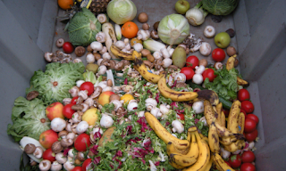 UNEP Report: Globally, Around 19% of the Food Produced was Wasted in 2022