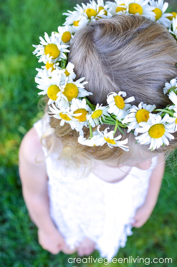 How to make a braided daisy chain flower crown with just flowers! The simple step by step tutorial teaches you easy ways to make flower crowns with daisies, dandelions and other weeds and wildflowers. It's perfect for making flower crown headbands or flower bracelets or necklaces. #daisychain #flowercrown #flowercrowntutorial #naturecrafts