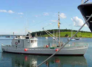 Bay of Fundy Blog: Fundy sardine boat plans promo trip