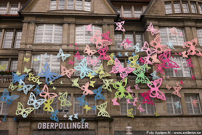 schmeterlinge, butterfly, schmetterling, butterfly, fjäril, fjärilar, and die wand, on the wall, på väggen, münchen, munich